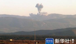 叙利亚最新爆料,最新爆料揭示惊人内幕